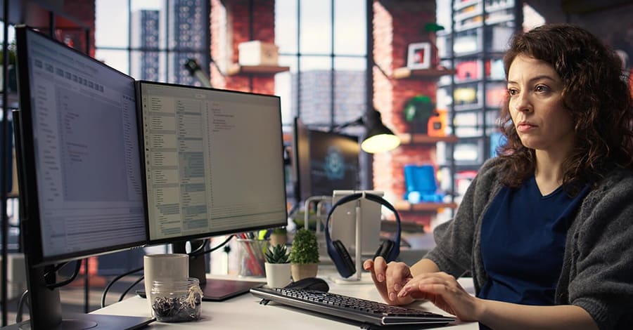 The Developer: Customization and Setup